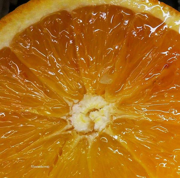 gourmandise4