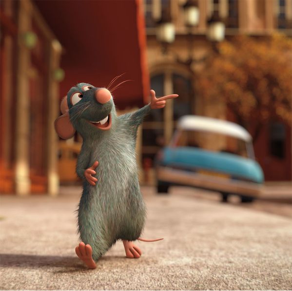 y5Ratatouille