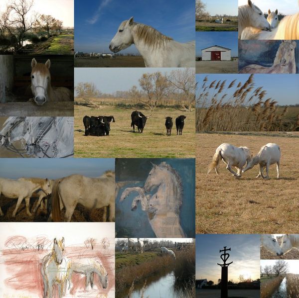 CAMARGUE-PEINTURE-copie-1.jpg