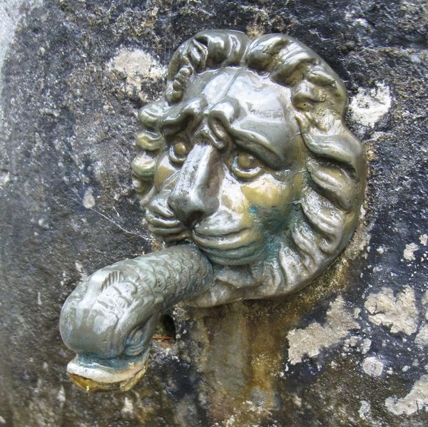 lion-syam.jpg
