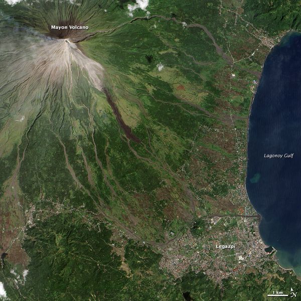 mayon ali 2009349