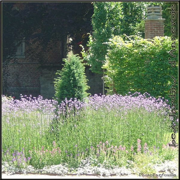 jardins-annevoie-juillet-photofarfouille-041
