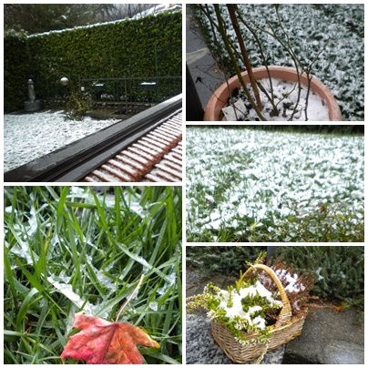 28neve.jpg