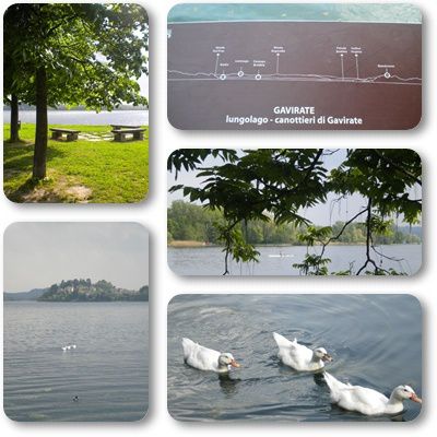 lago-mosaico-2.jpg