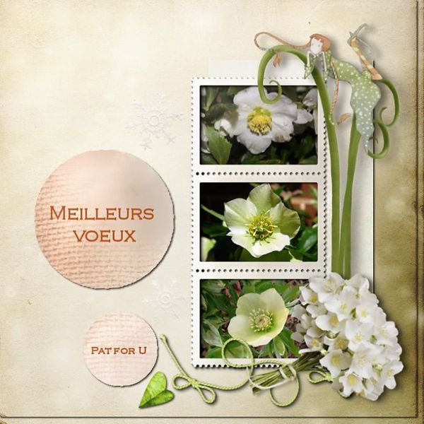 meilleurs voeux 10012011