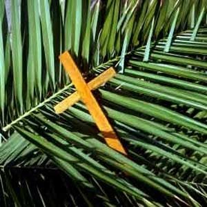 palm-sunday-usa.jpg