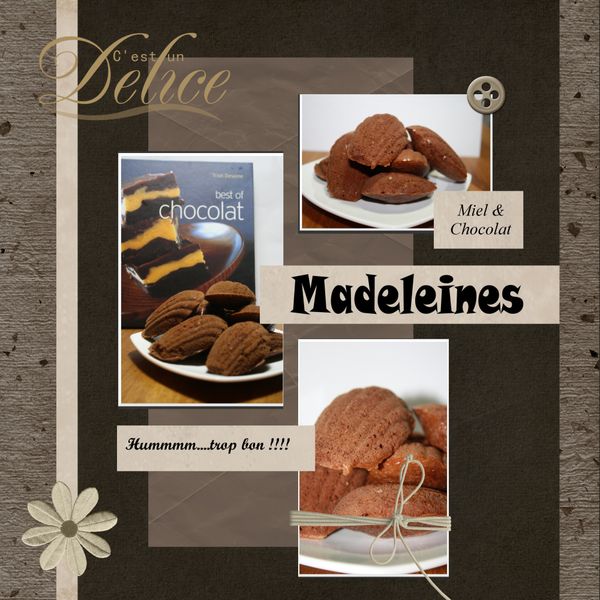 madeleine choco&miel (1)
