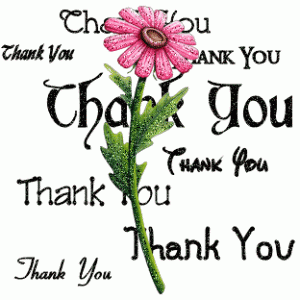 thanks_pink_daisy-300x300-1-.gif