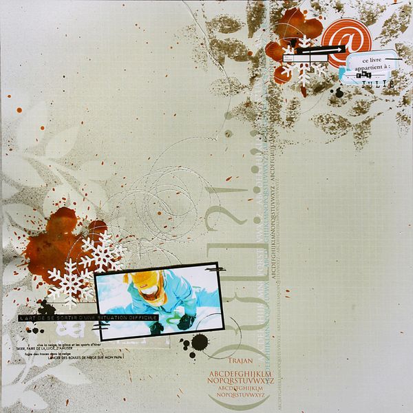 page grise neige