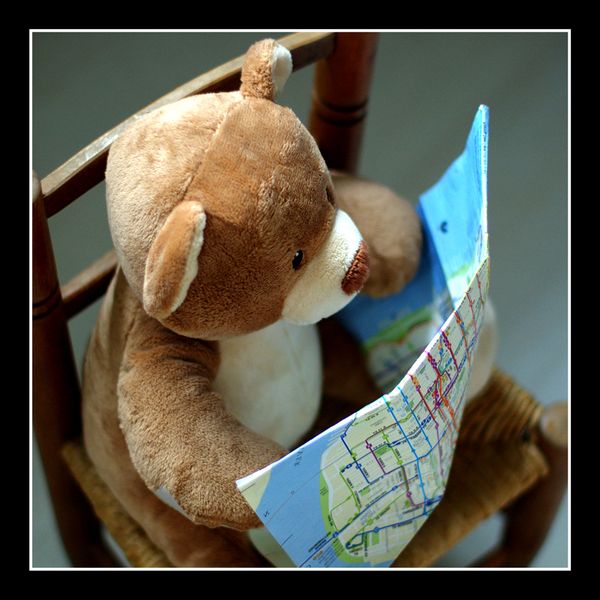 Jeu-photo-route-nounours-carre-copie.jpg