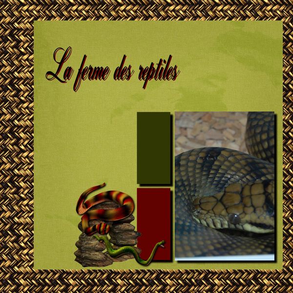 la-fermedesreptiles.jpg