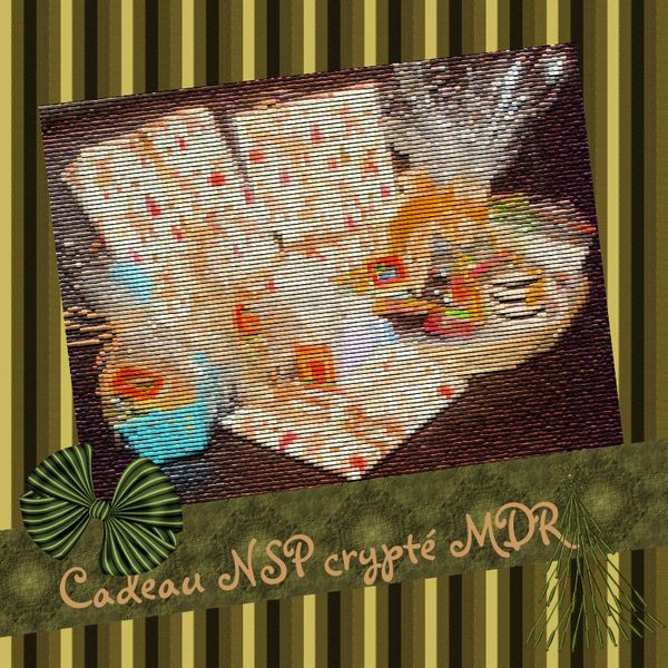 HPIM2580patchnoelnsp.jpg