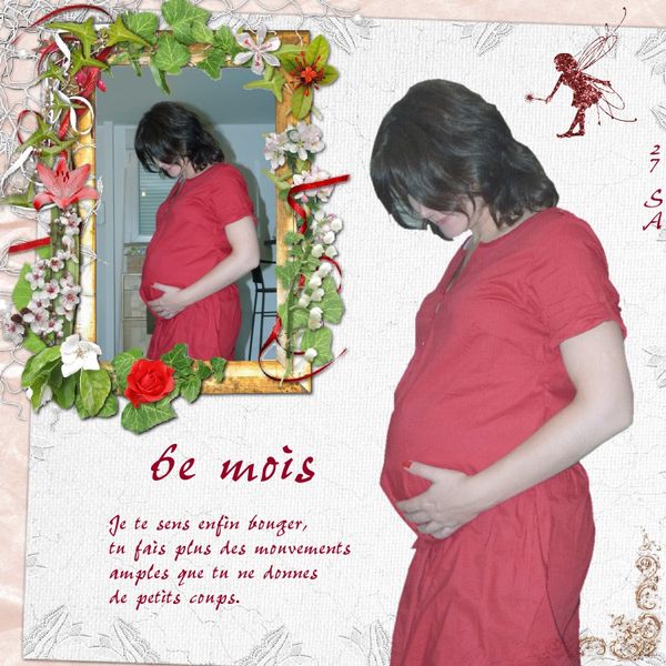 27e-sa.jpg