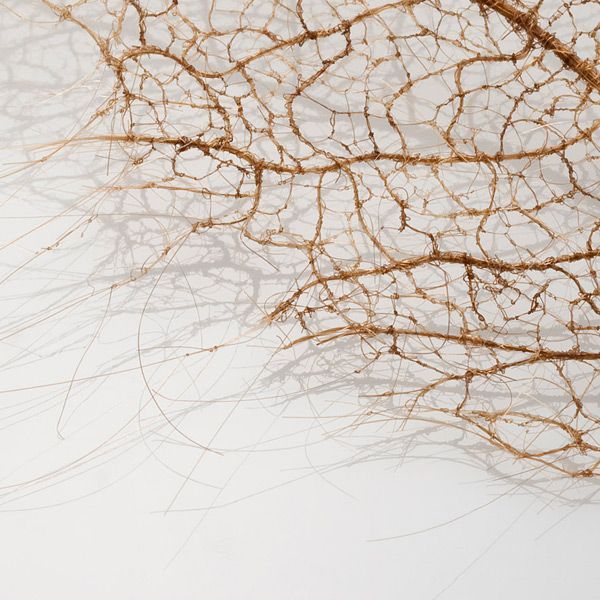 Jenine-Shereo-human-hair-leaves2.jpg
