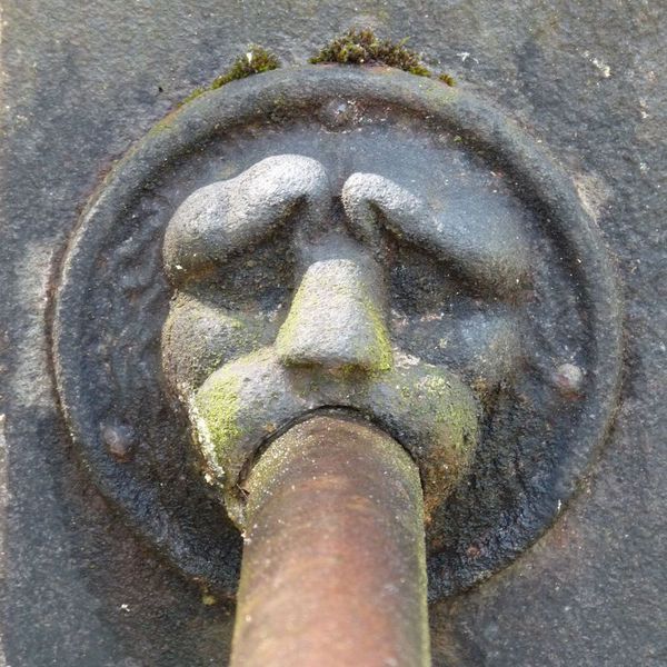 lion-lescheres.jpg