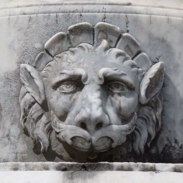 lion-septmontcel-3.jpg