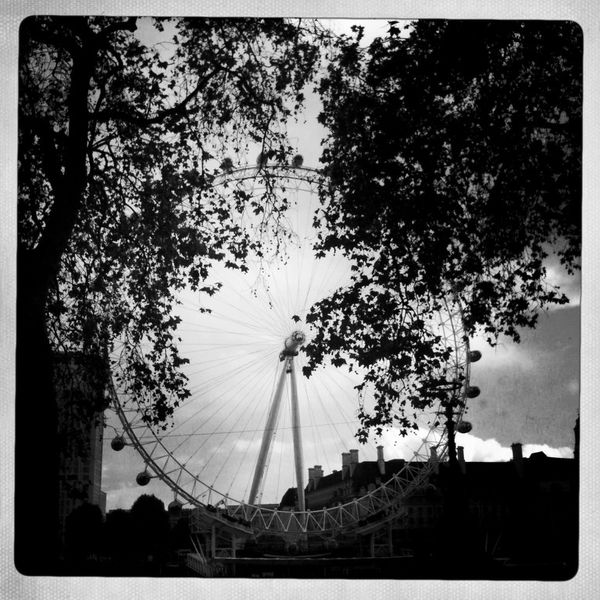 00-2010-last-1035bw.jpg