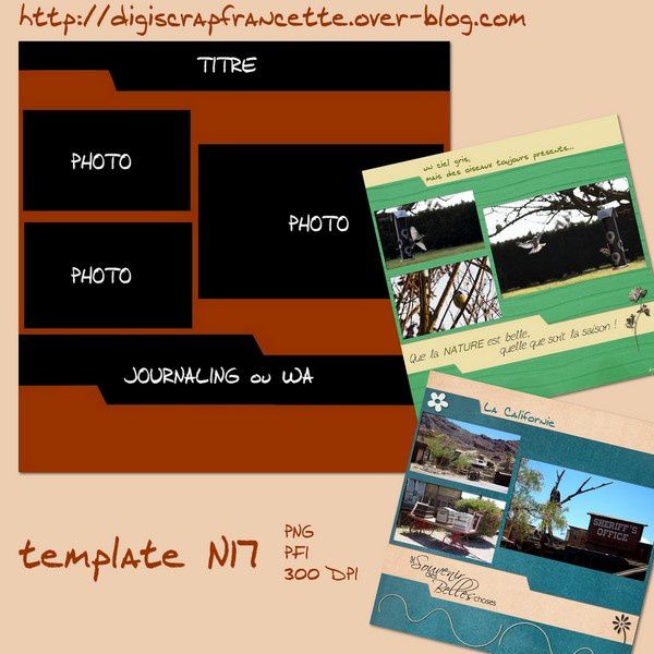 template N17 preview