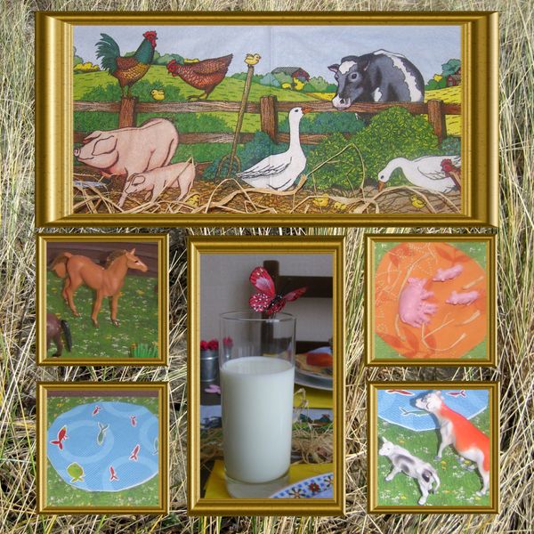 table campagne 4