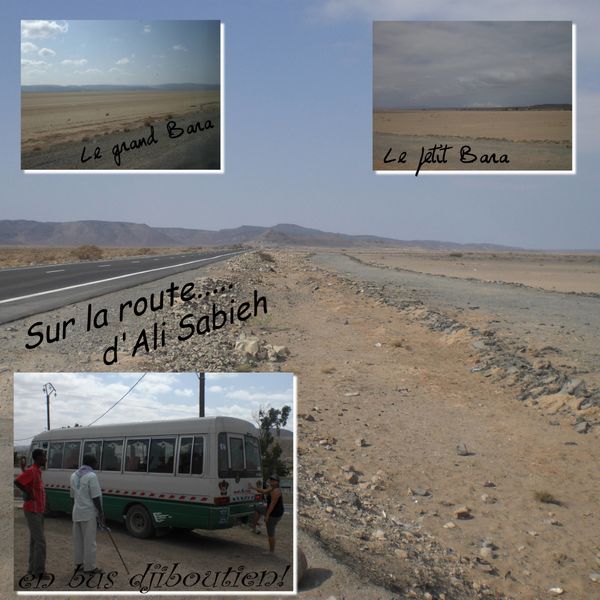 35---Ali-Sabieh.jpg