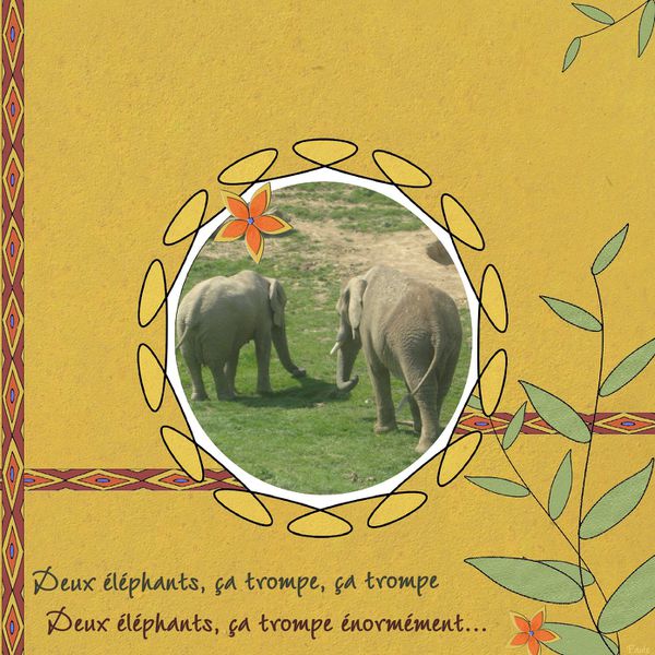 Elephants-copie-1.jpg
