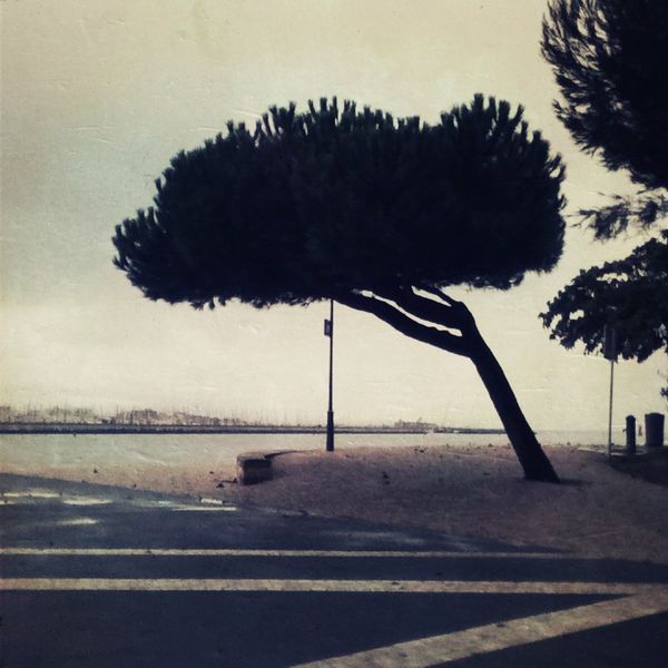 photo-4.2