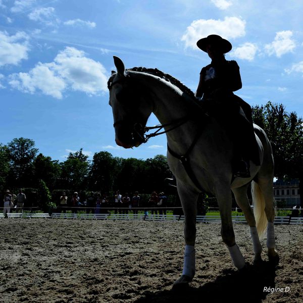 rencontres équestres lunéville 2012