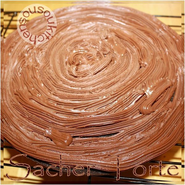Sacher Torte (6)