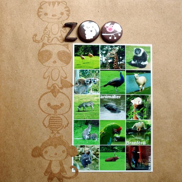 p13 zoobranféré