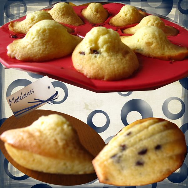 madeleines