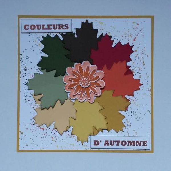 couleurs-d-automne.jpg