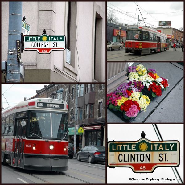 2012-03-08 Toronto down town10