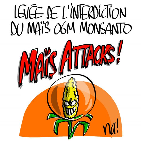mais_attacks.jpg
