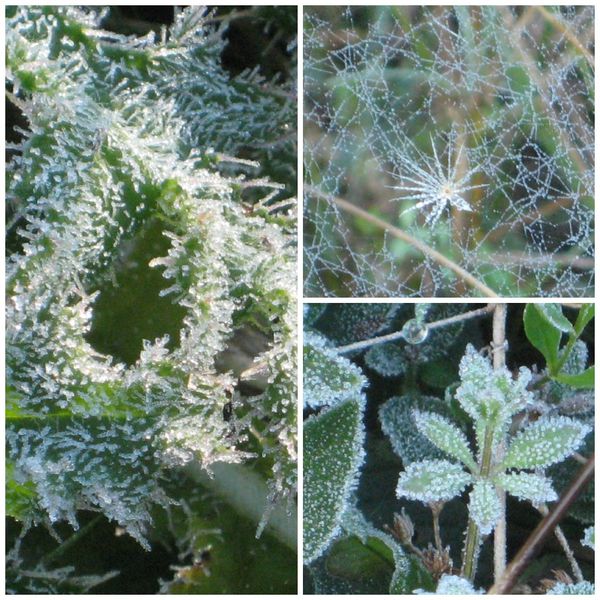 PicMonkey-Collage-copie-3.jpg