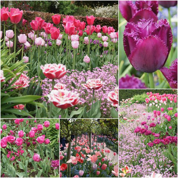 PicMonkey-Collage-copie-7.jpg