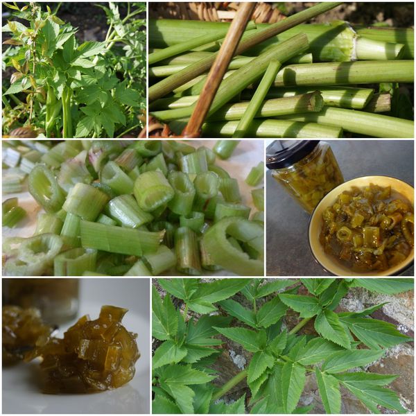 PicMonkey-Collage-copie-3.jpg