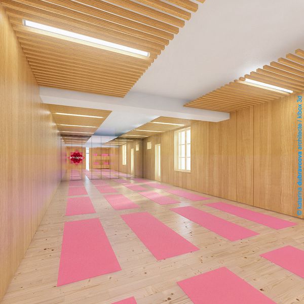 2012-04-16-3D-yoga-gambey-salle-tout-bois-1.jpg