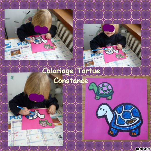 coloriage-tortue-constance.jpg