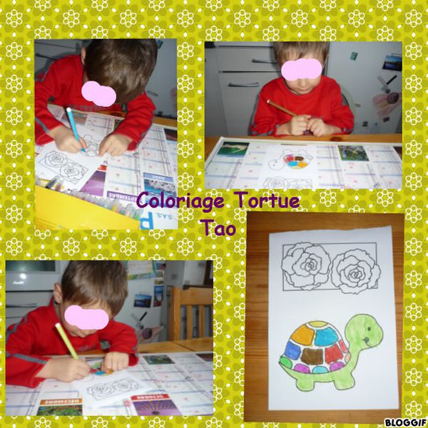 coloriage-tortue-tao.jpg