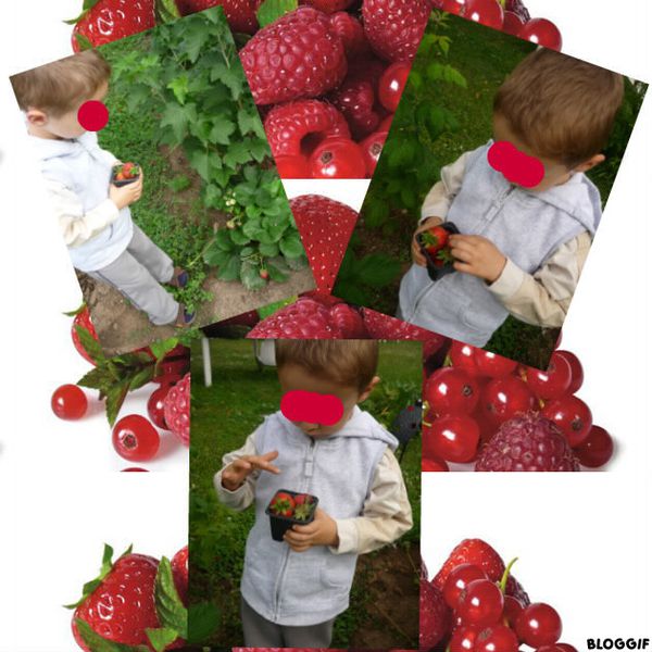 fraises-et-framboises.jpg
