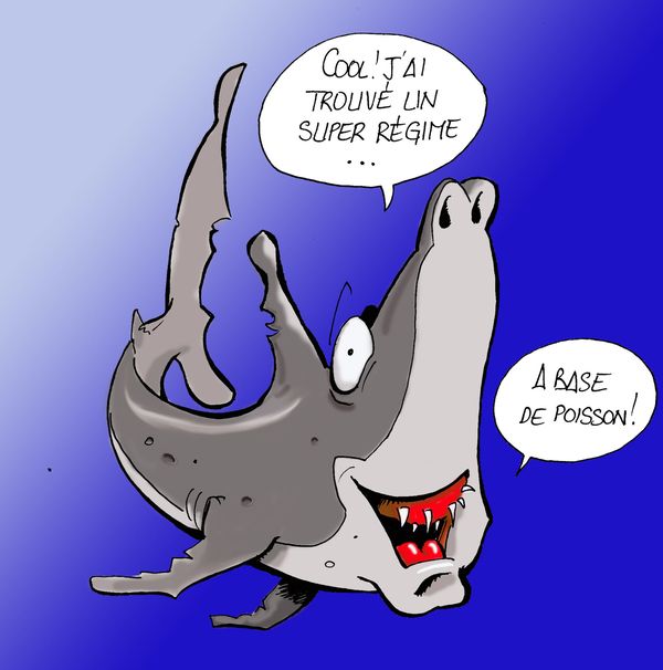 Regime-2-copie.jpg