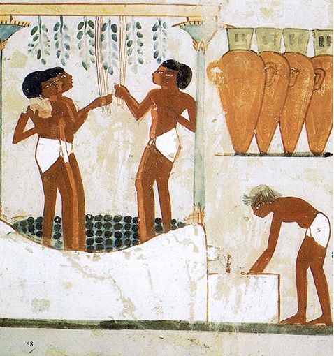 4260_vignette_a-Tomb-of-Nakht-13-.jpg