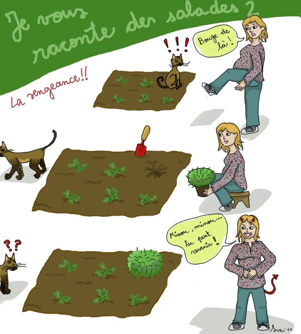 chats-et-salades2.jpg