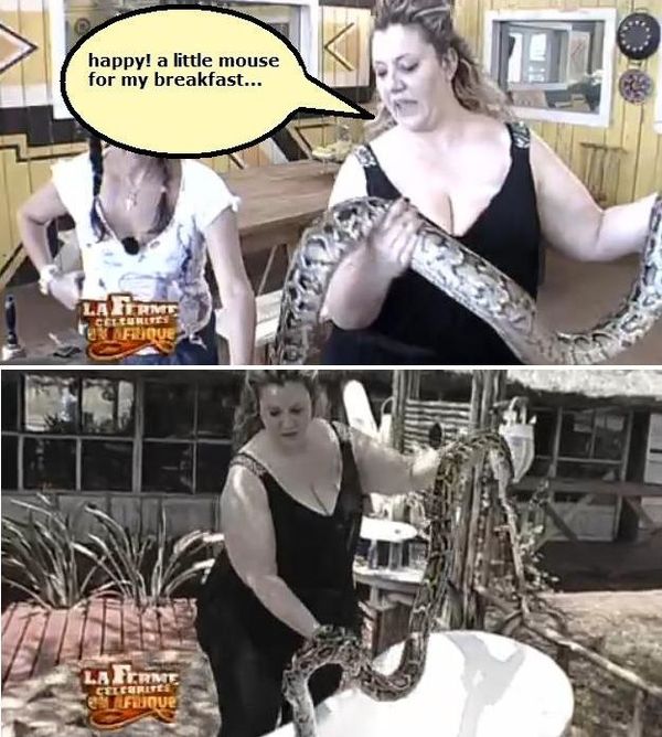 serpent.jpg