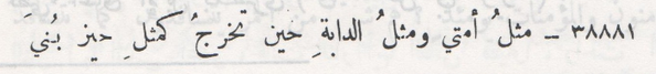 kanz 1