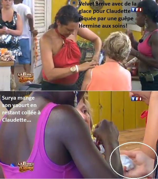 lundi 2202 guêpe