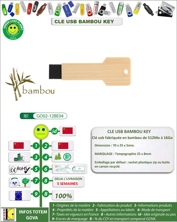 Cle usb en bambou forme de cle ref GO02-12BE04