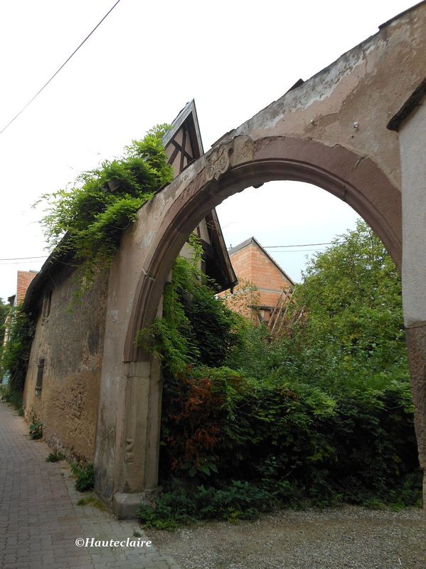 ruines-1.jpg