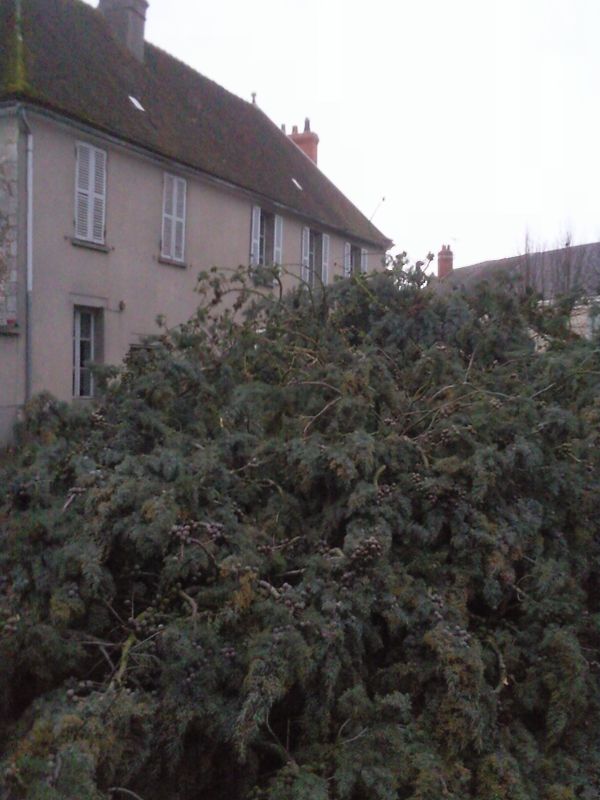 Photo0529