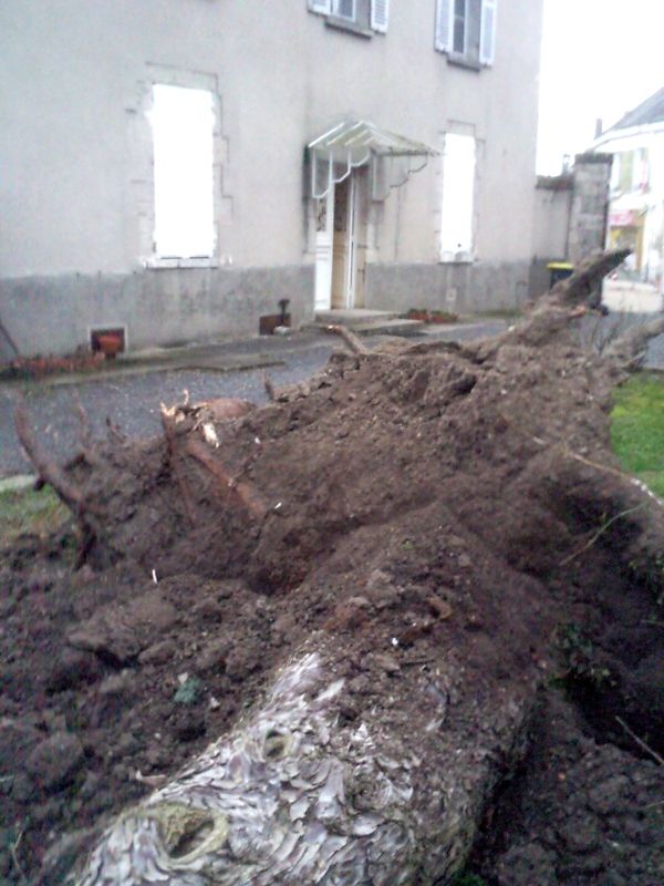 Photo0530